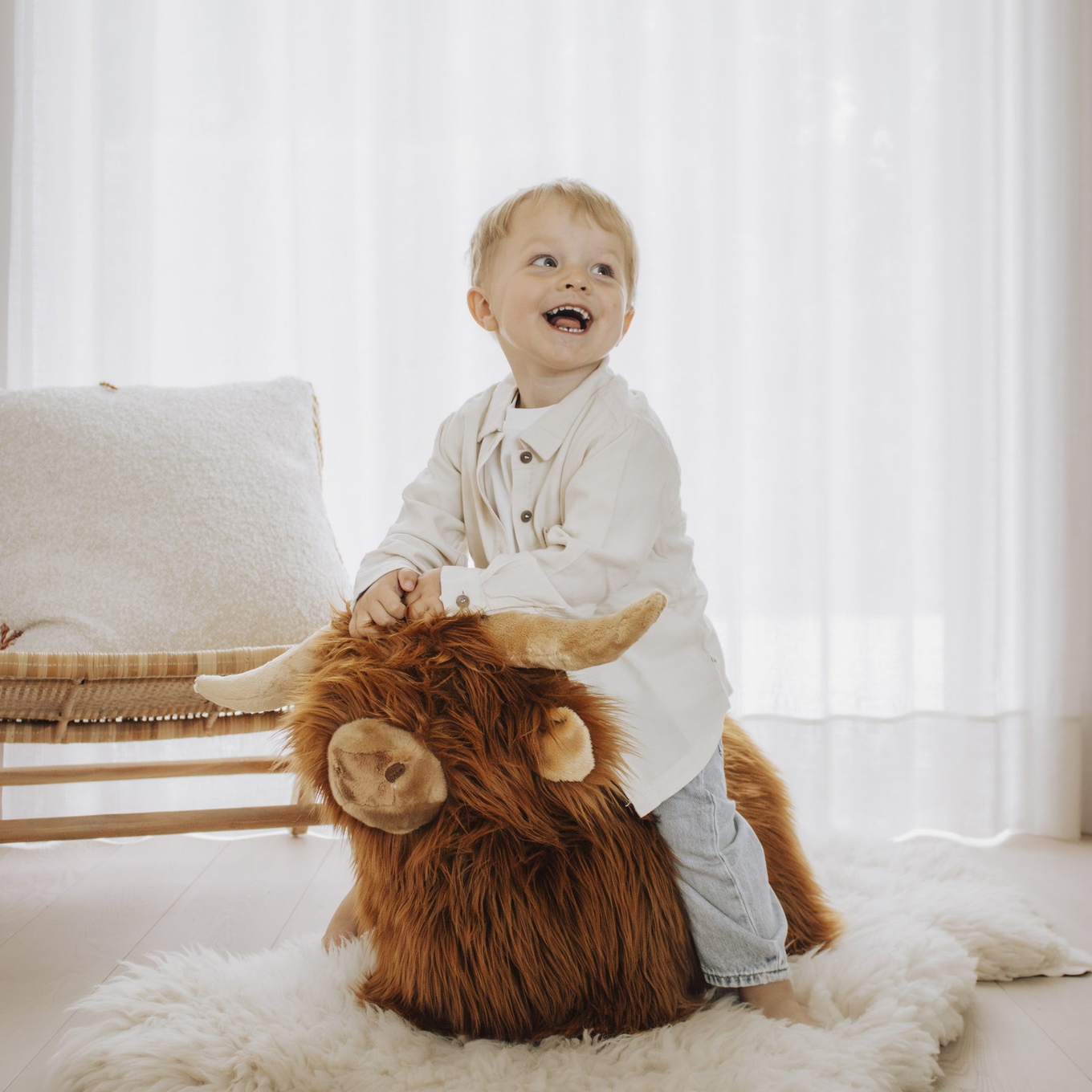 Hüpftier Highland Cow 5