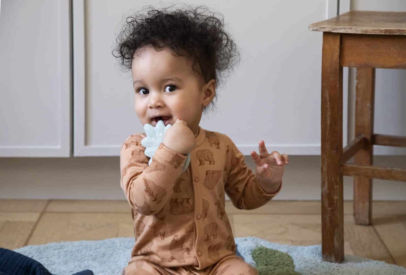 Beissring Blatt Mint 4