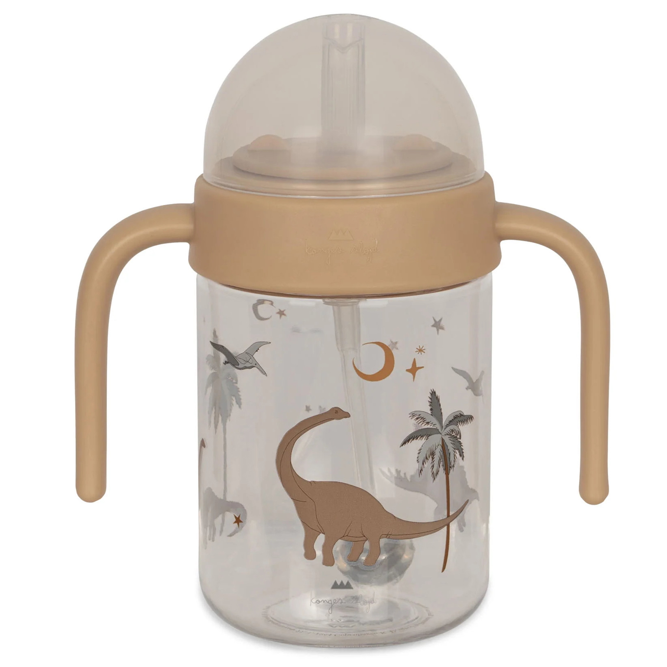 Trinkflasche mit Griff Dino