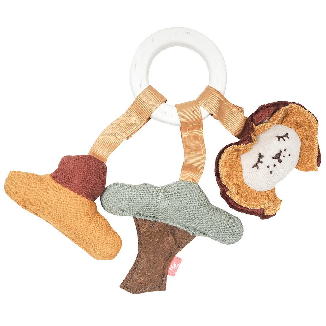 Beissring Löwe Sonnenuntergang