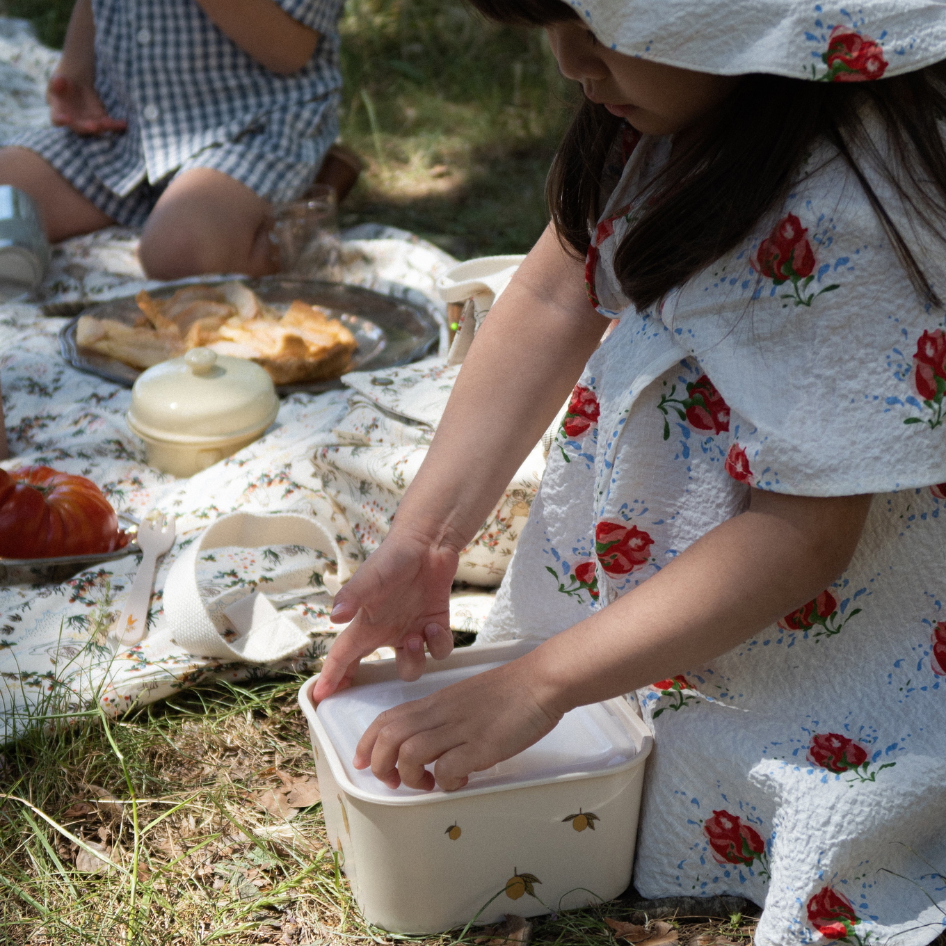 Lunchbox Lemon 4er Set #2