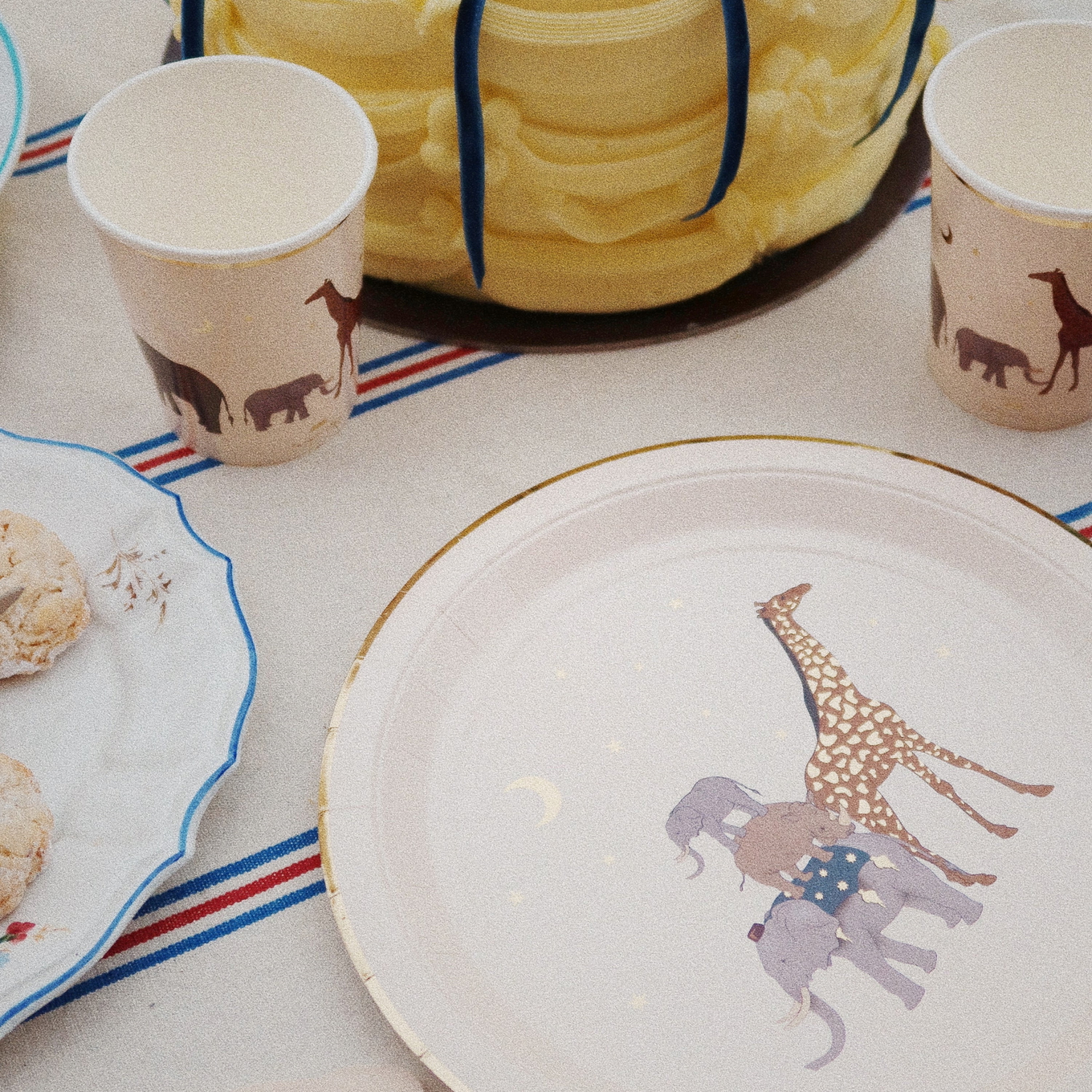 Geburtstags Set Safari FSC #2