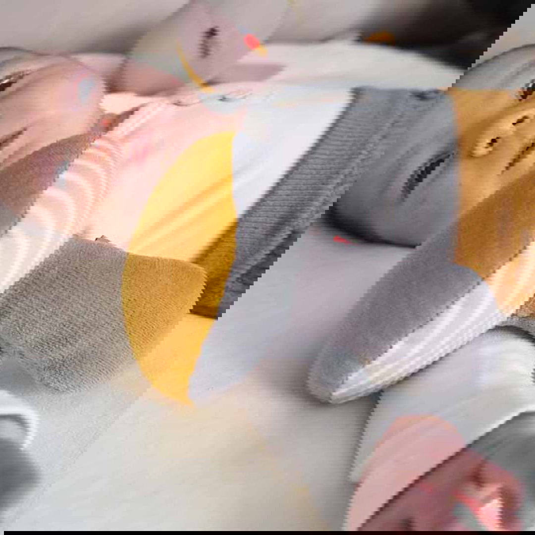 Rassel Pilz Gestreift #2