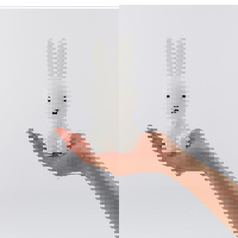 Bundle Of Light Mr Maria Miffy 4