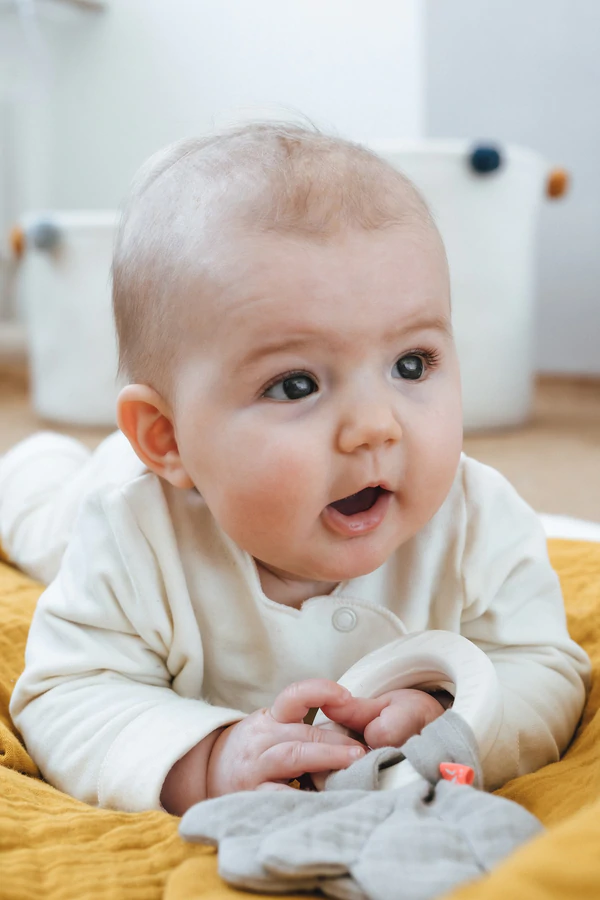 Beissring mit Knister-Ahorn 4