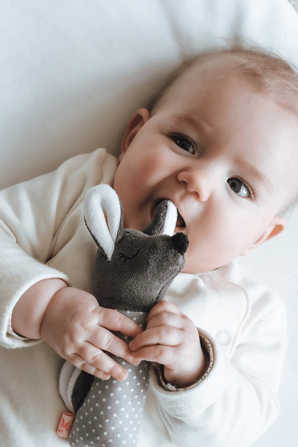 Quietscher Rehkitz #2