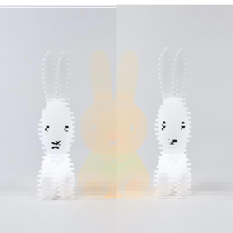 Bundle Of Light Mr Maria Miffy 3