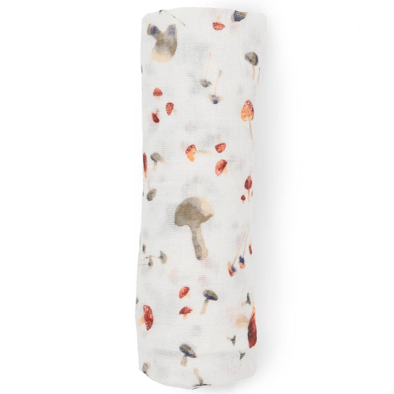 Pucktuch Mushrooms 9