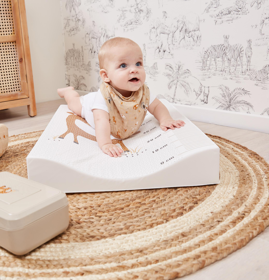 Bandana Dreieckstuch 2er Set Steppe 2