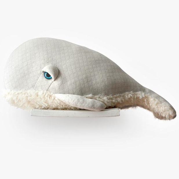 Albino Bubble Wal Gross