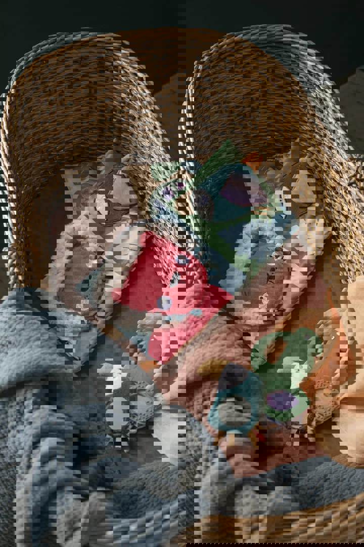 Beissring Chamäleon Carley 3