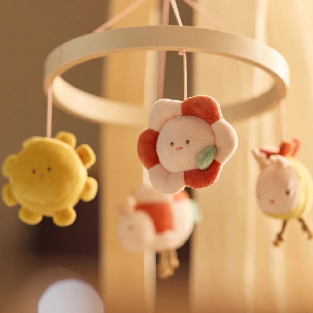 Babymobile Pretty Picnic 3