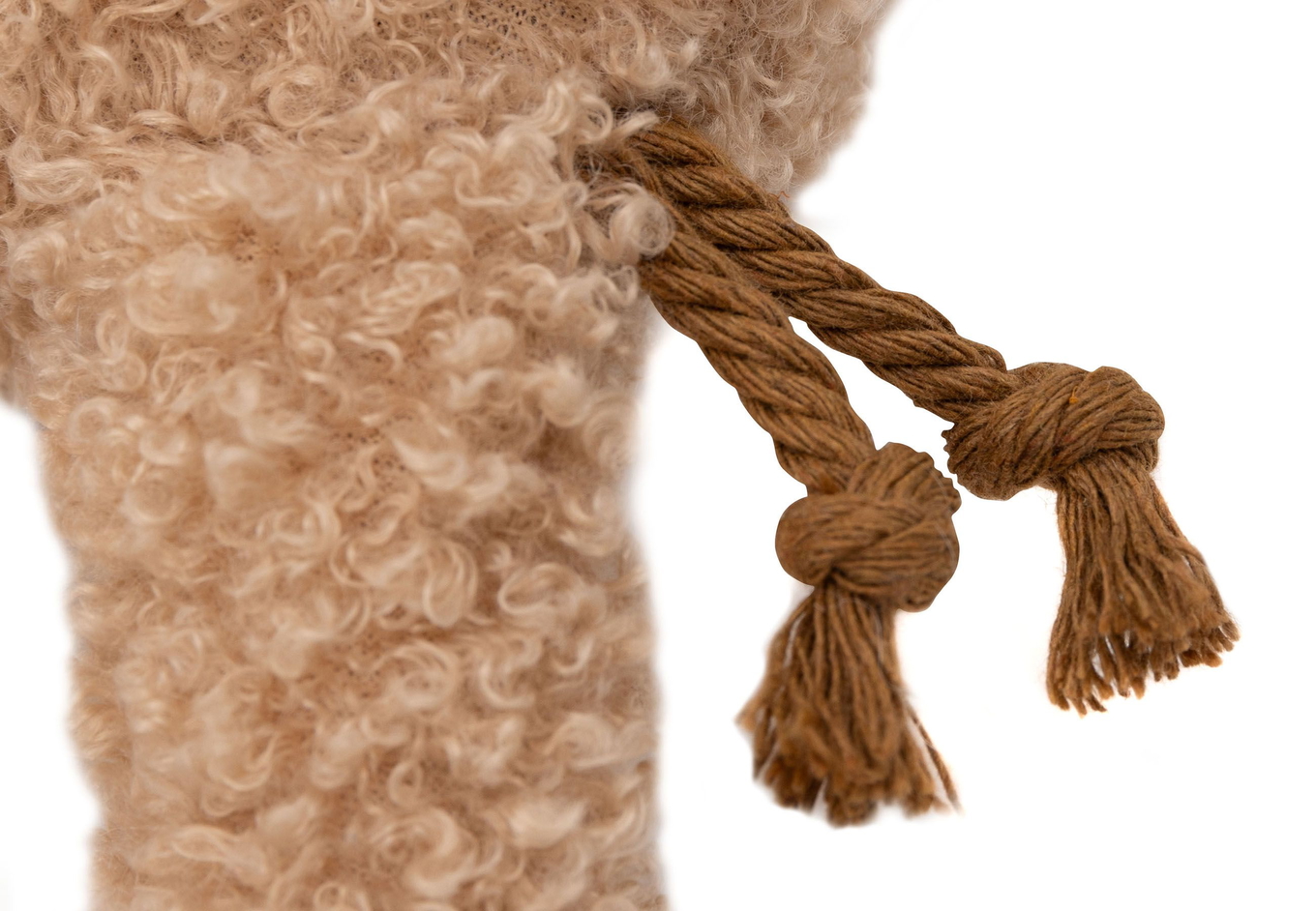 Kinderwagen-Anhänger Dino 5