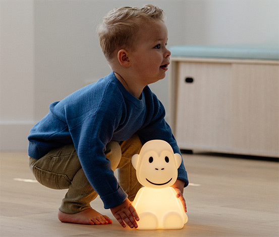Erste Lampe Mr Maria Monkey #2