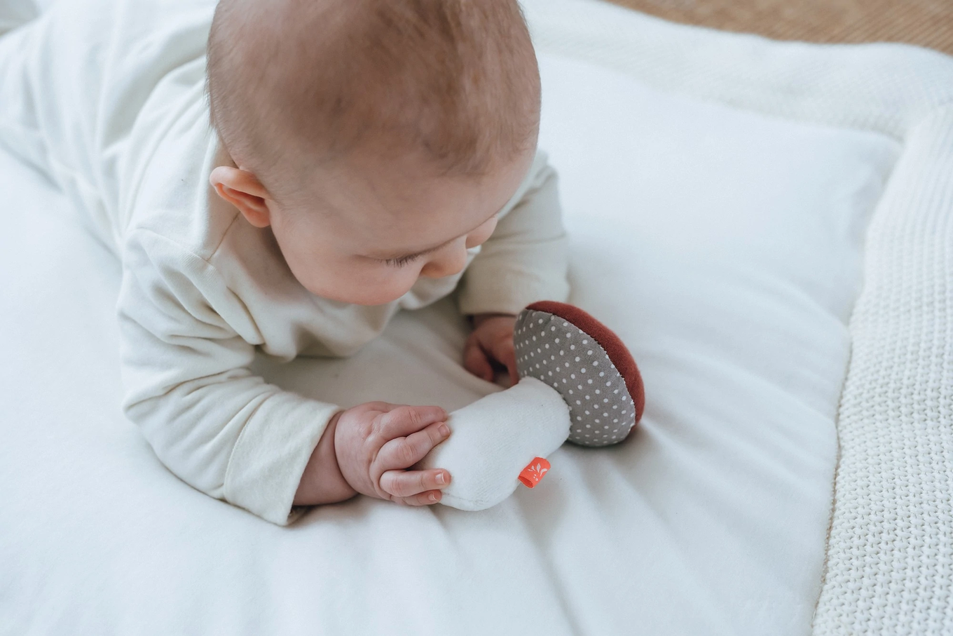 Quietscher Pilz Punkte 4