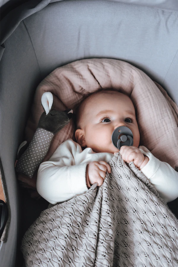 Quietscher Rehkitz 3