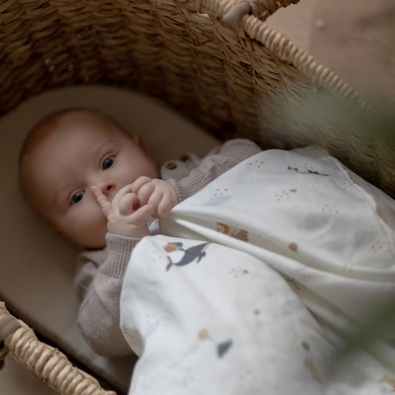 Baby Bettwäsche Mouse 6