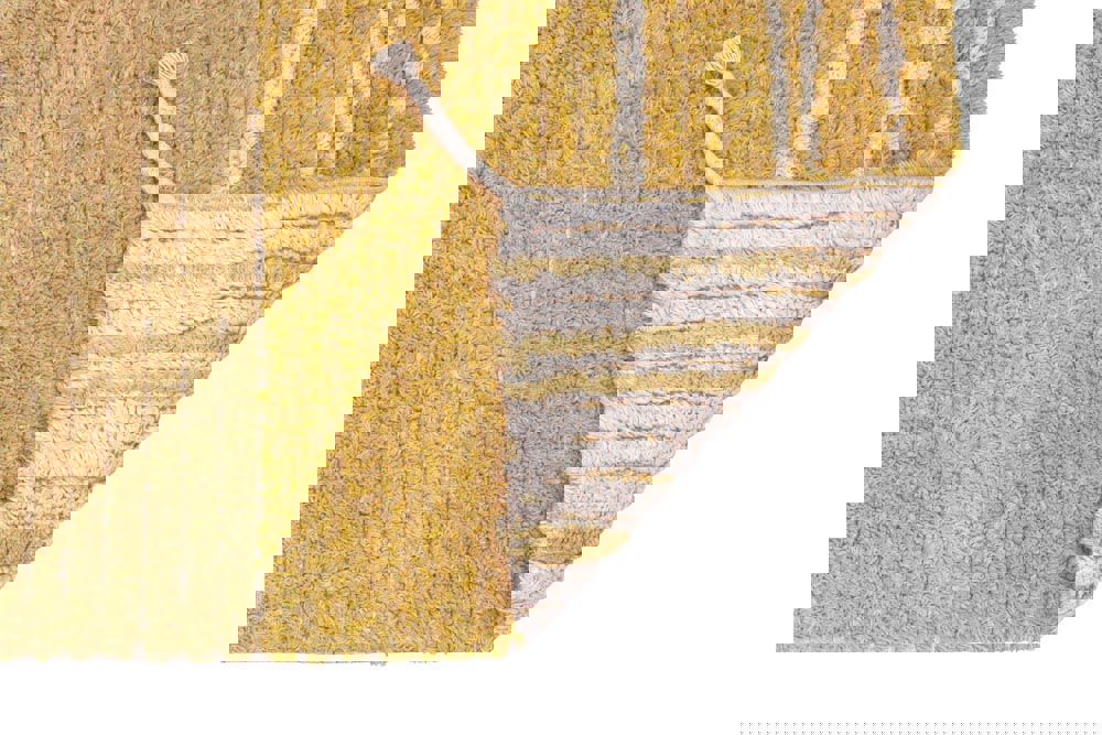 Wendeteppich Twin Amber, XS 6