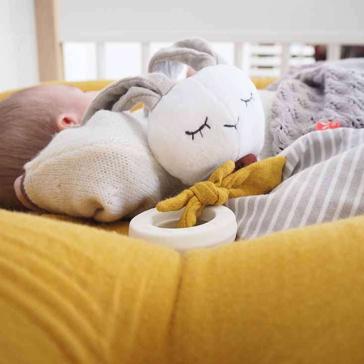 Beissring Hase Junge #2