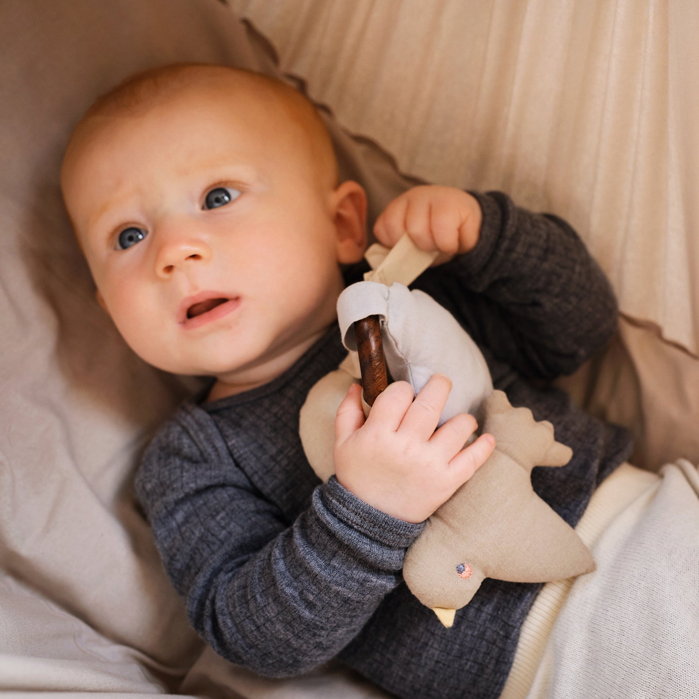 Greifling Vogel Sterne Mond #2