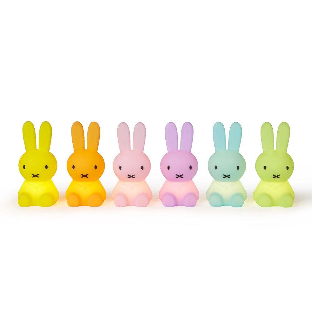 Bundle Of Light Mr Maria Miffy Colourful Surprise 5