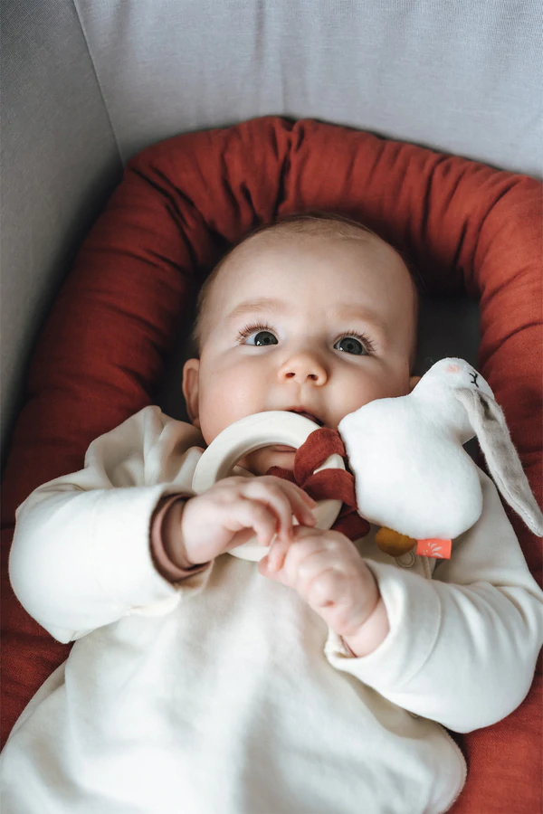 Beissring Hase mit Rassel 3