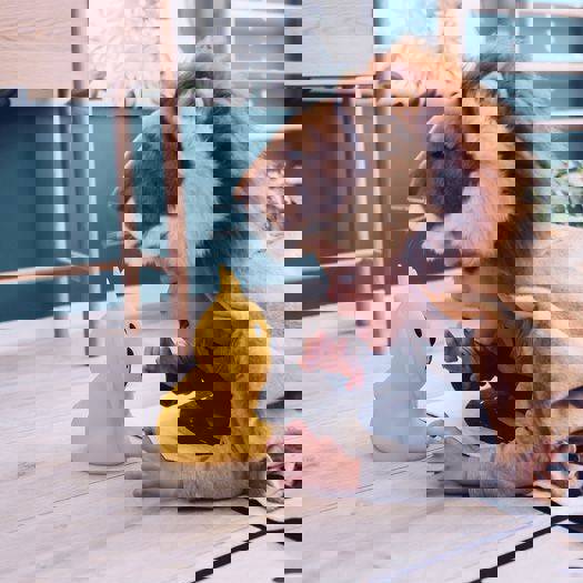 Erste Lampe Mr Maria Lion 9