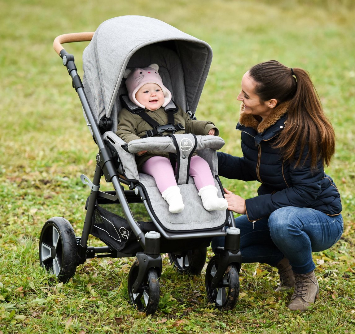Kinderwagen Lux Evo mit HB Siebenschläfer 2
