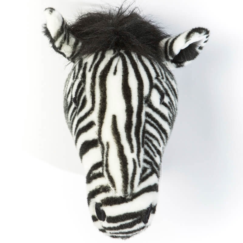 Tierkopf Zebra Daniel 2