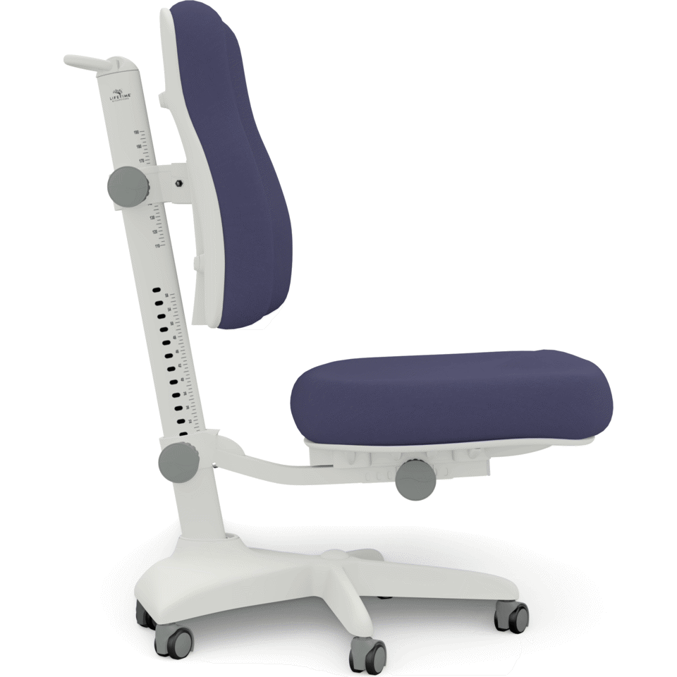 Bürostuhl Modell Ergo Dunkelblau 3