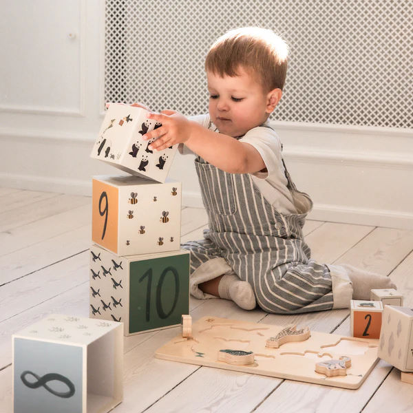 Stapelblöcke World of Sebra 3