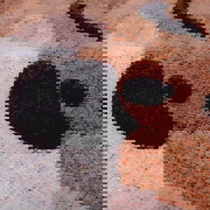 Teppich Little Cheetah 7