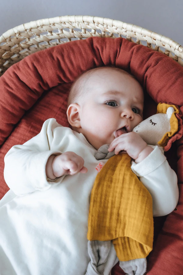 Schmusetuch Löwe Junge 5