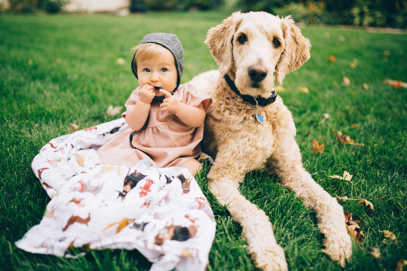 Pucktücher Woof 3er-Set 7