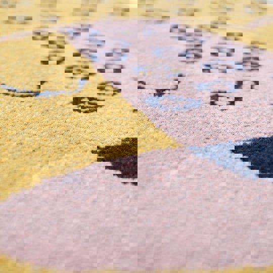 Teppich Kleo Leopard Gelb 5