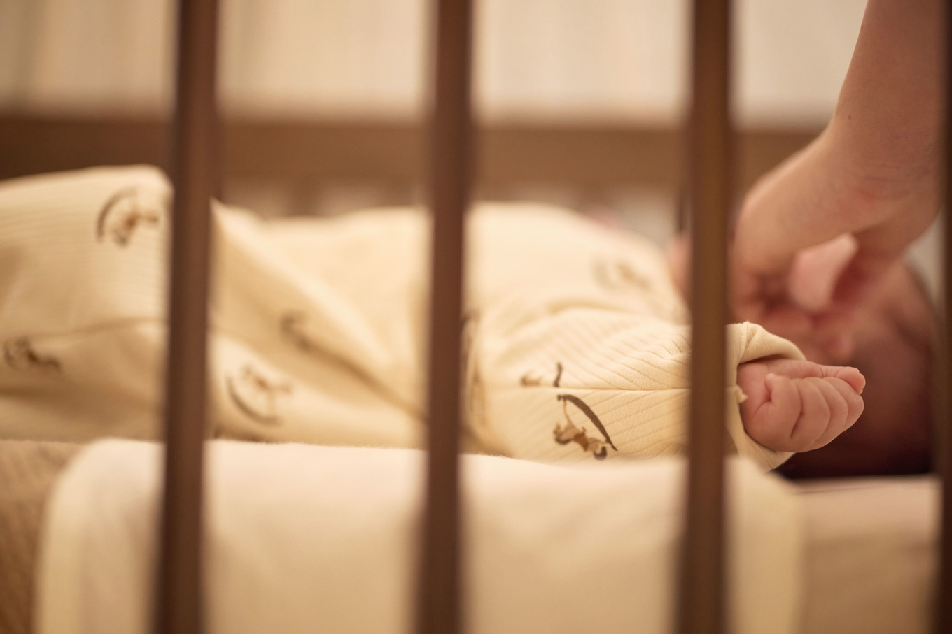 Schlafsack mit abnehmbaren Ärmeln Pferd 70 cm 8