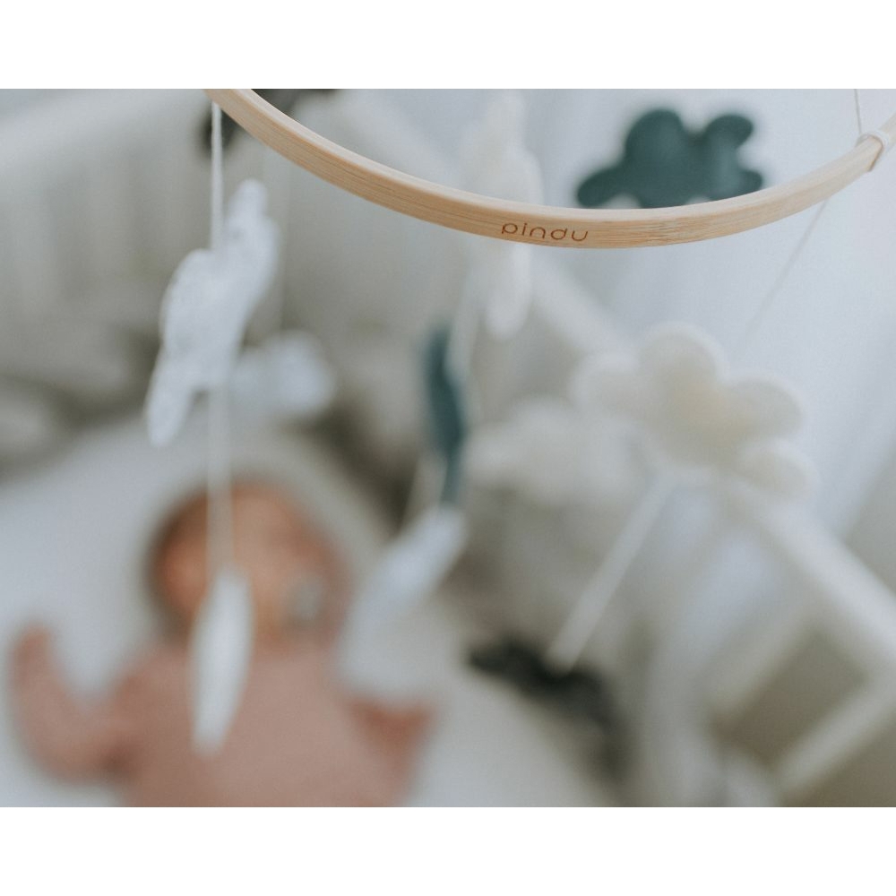 Babymobile Green Cloud 7