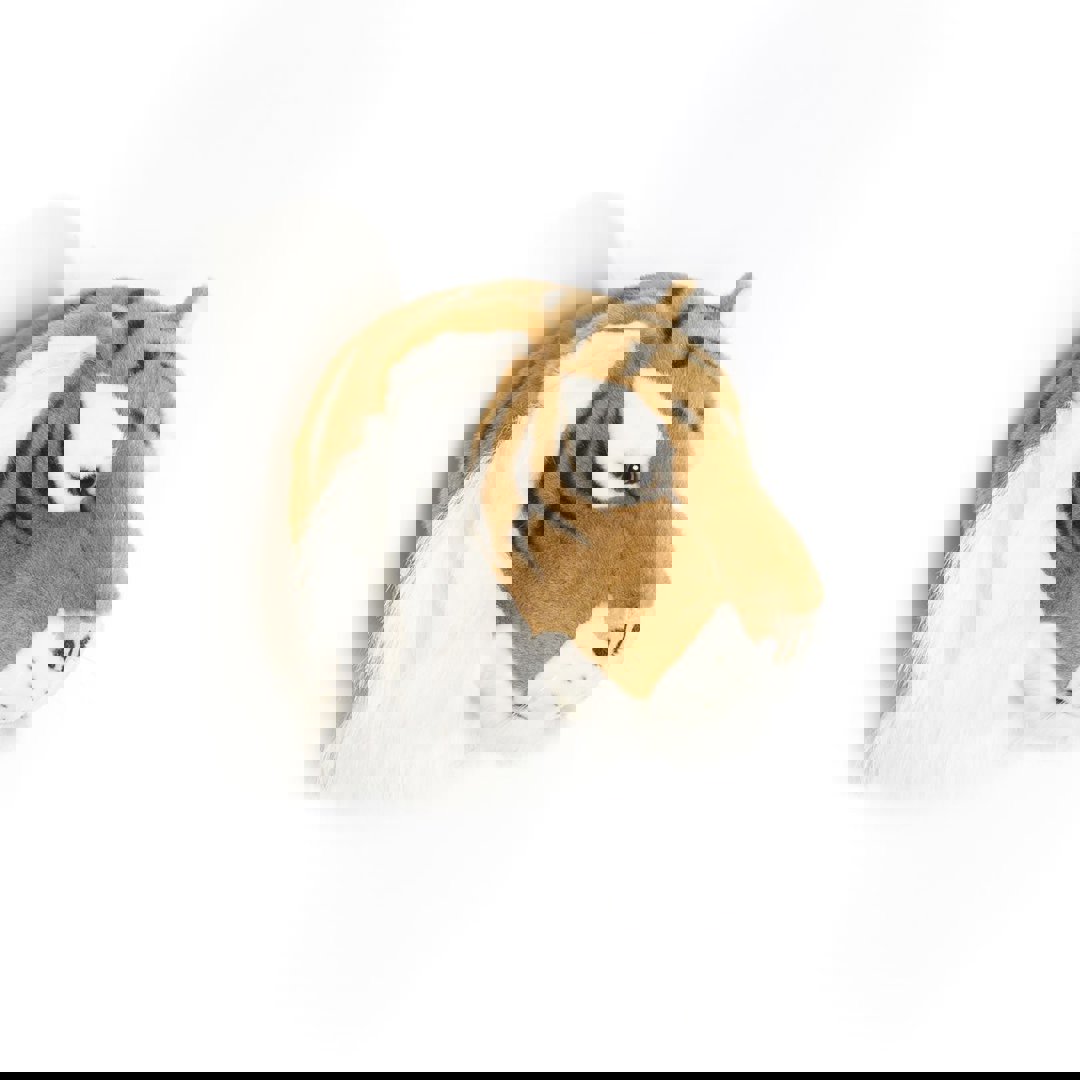 Tierkopf Tiger Felix 4