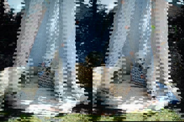 Teppich Bubbly Vintage Nude 4