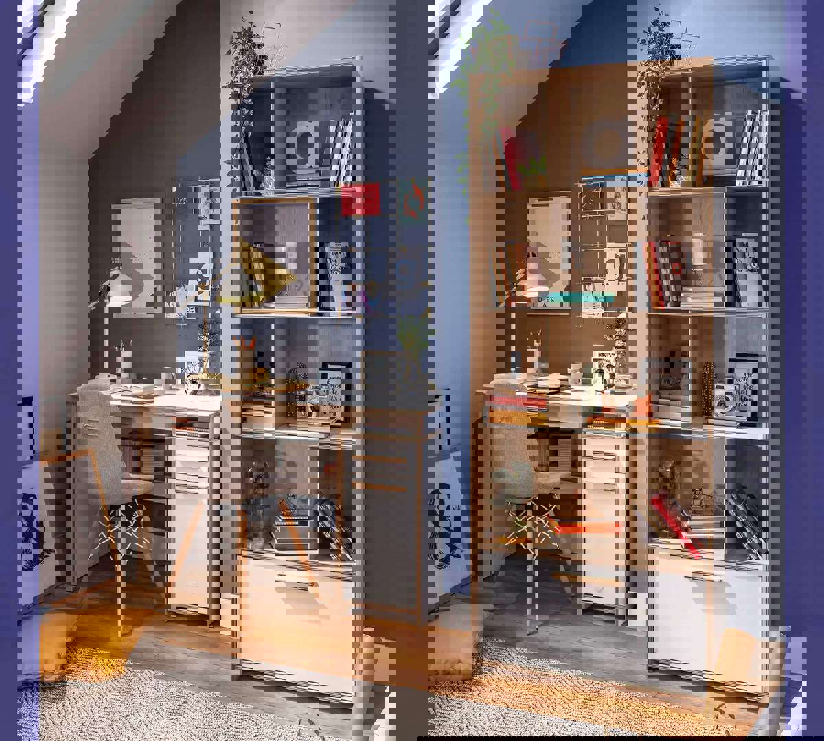 Bücherregal Modera Medium 4