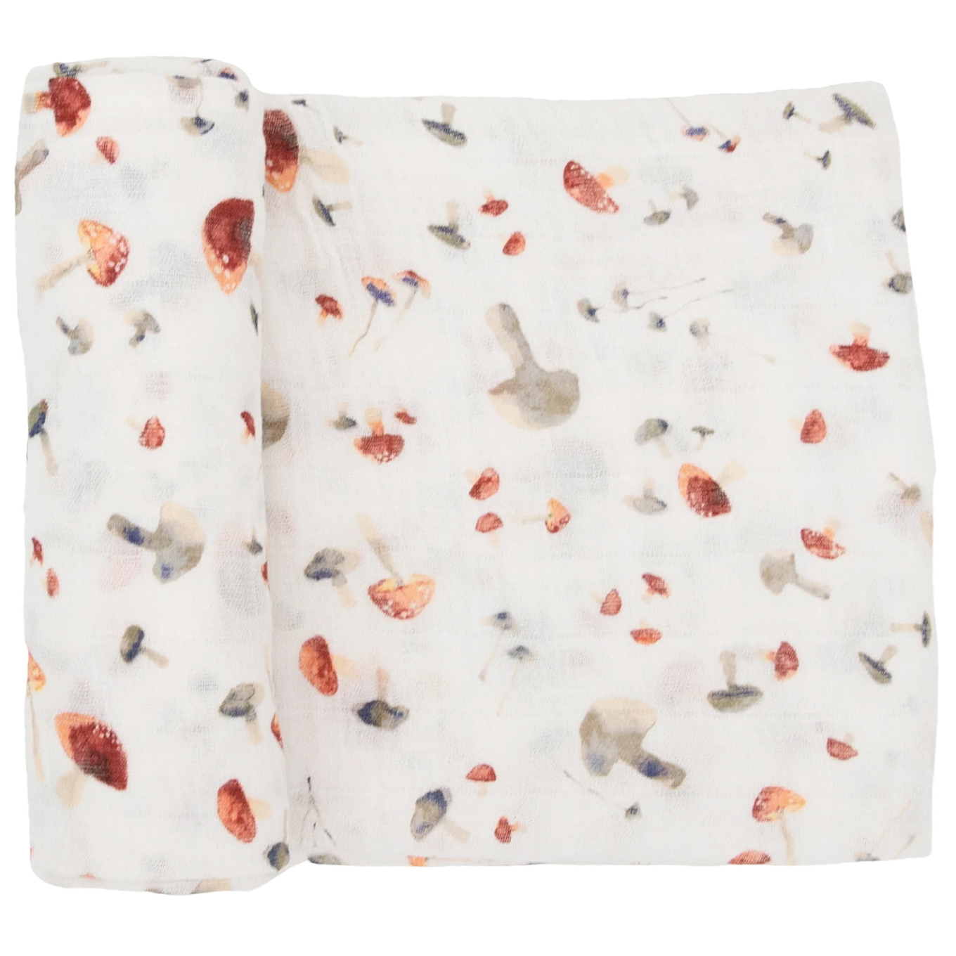 Pucktuch Mushrooms 1