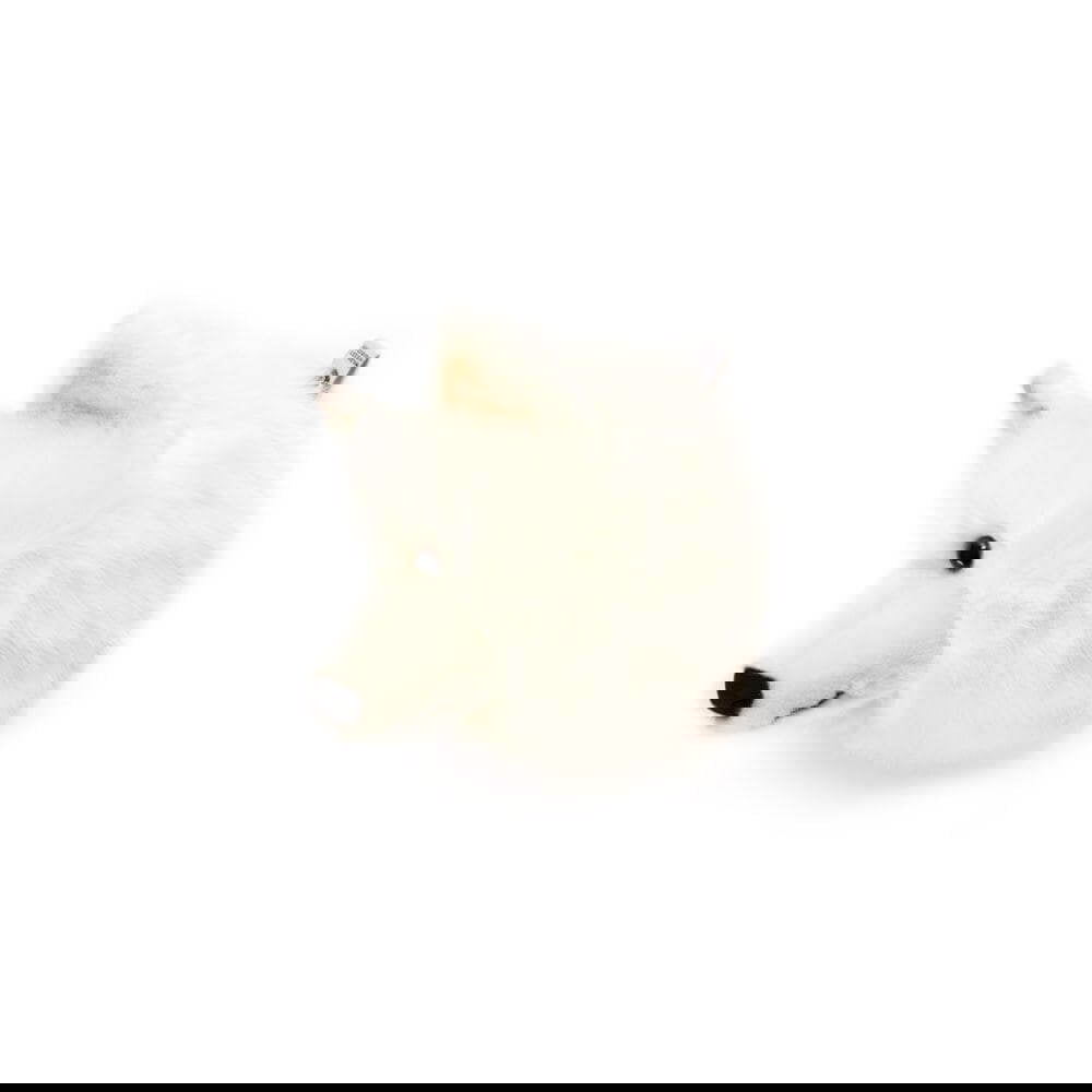 Tierkopf Weisse Wölfin Lucy 4