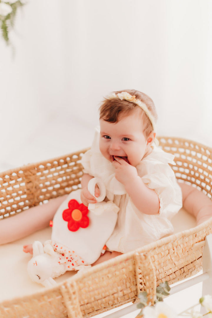 Aktivitätsspielzeug Lämmchen 2