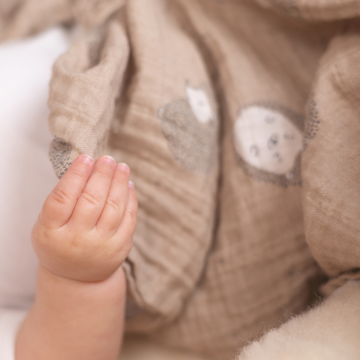 Pucktuch Gaze Little Henry 3