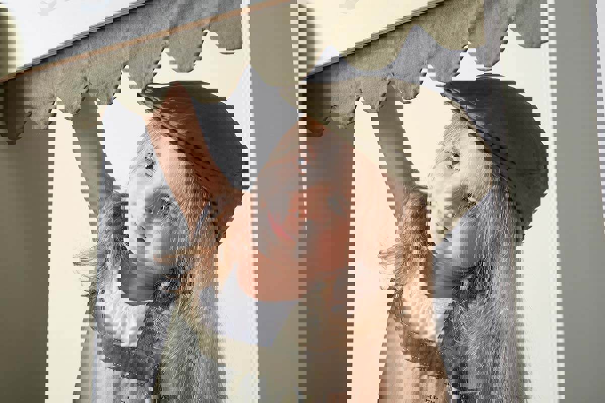 Verkäuferkleidung Set 3