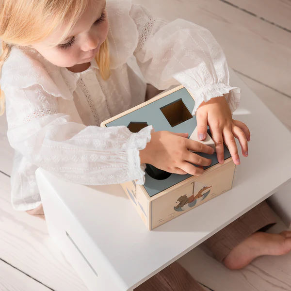 Formensteckspiel World of Sebra 7