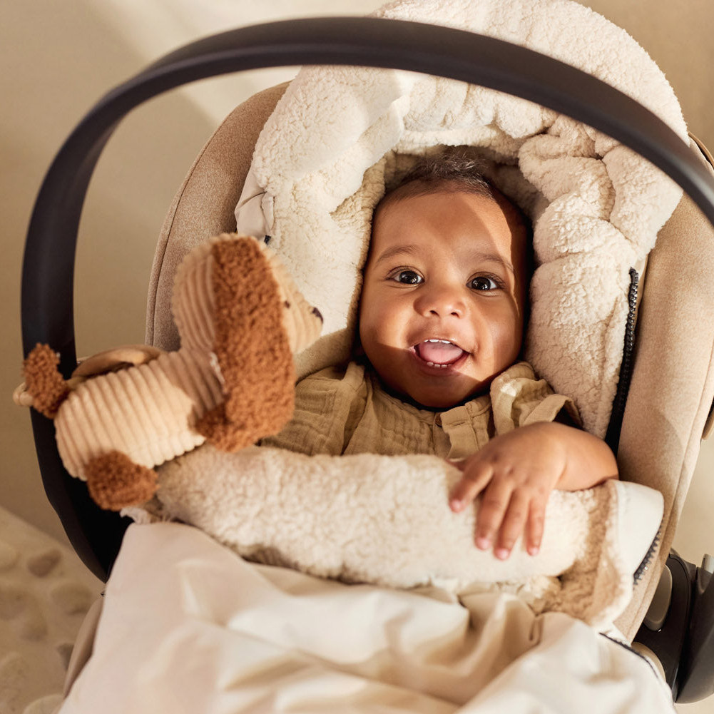 Kinderwagen-Anhänger Diego 5