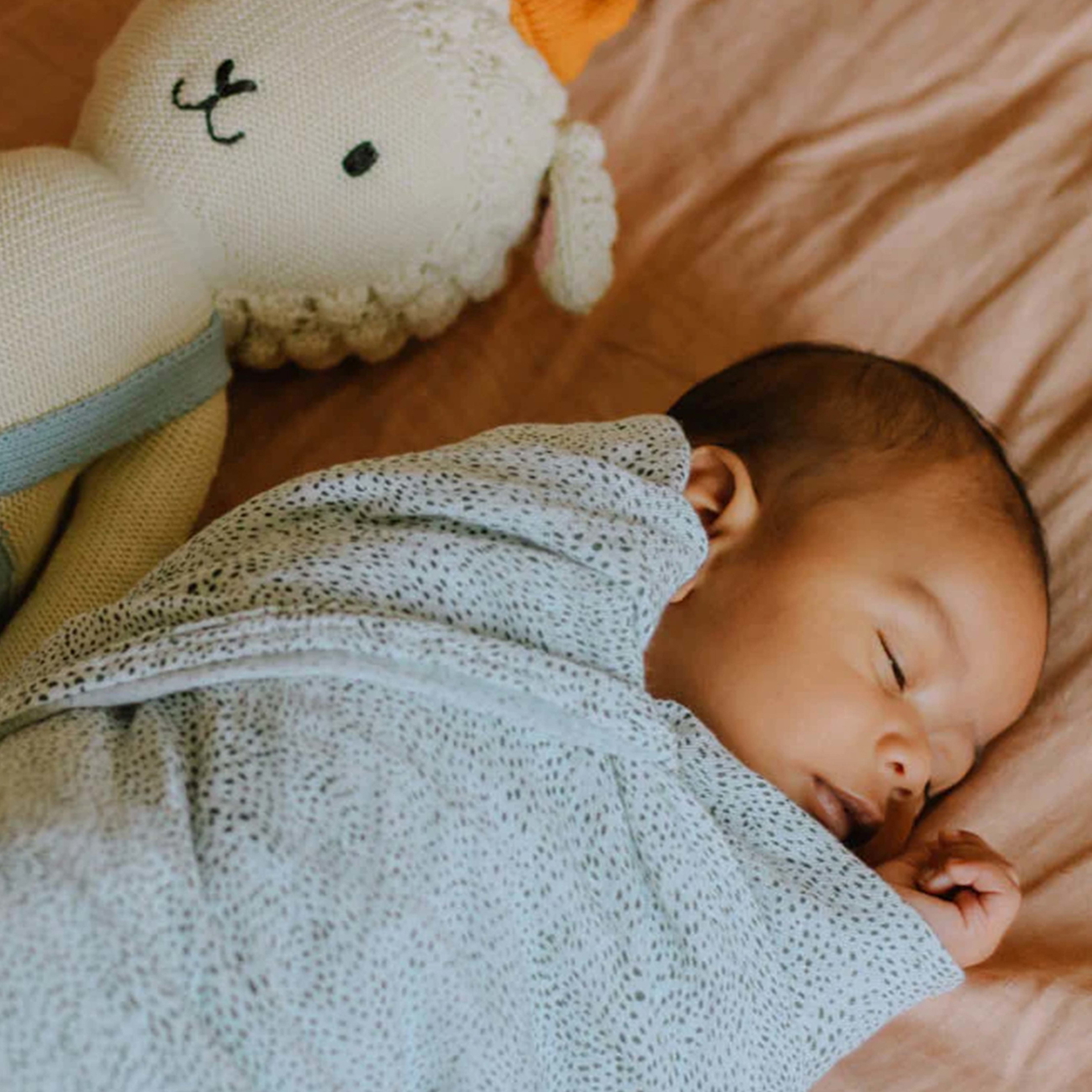 Pucktuch Green Seed #2