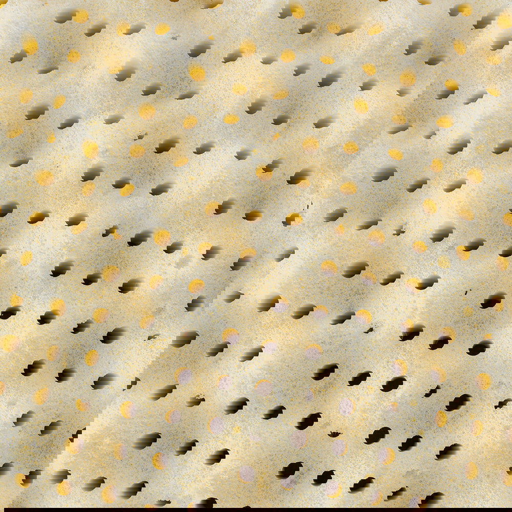 Matratze Naturstern 140 x 200 cm 4
