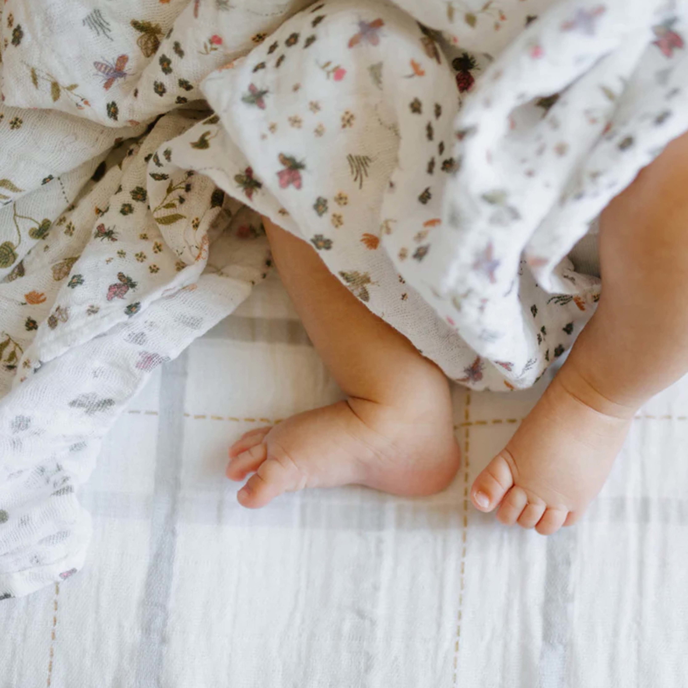 Pucktuch Garden Bees 3